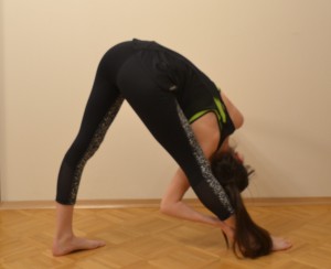DSC_8620 (2)