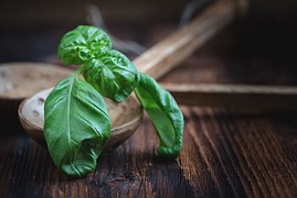 Veggie-lifestyle
