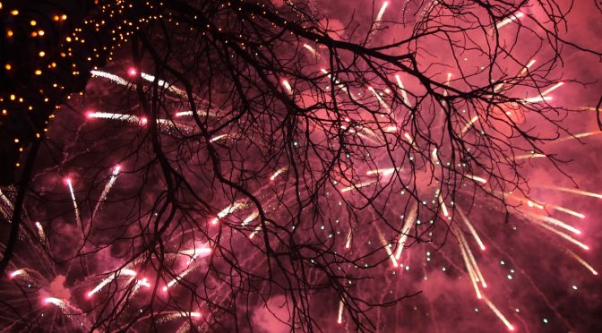 New Year – Fresh Start