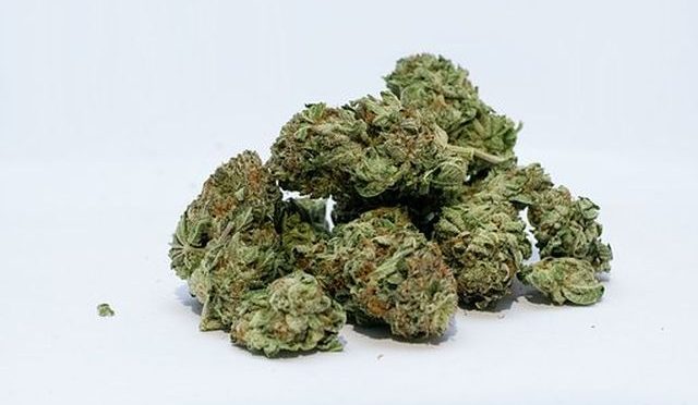 Marijuana and its Side Effects